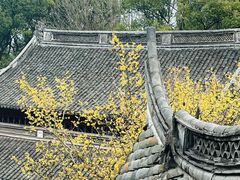 -宁波市保国寺古建筑博物馆