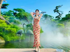 -罗红摄影艺术馆