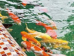-杭州野生动物世界
