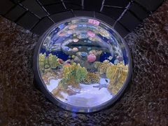 -暹罗海洋世界