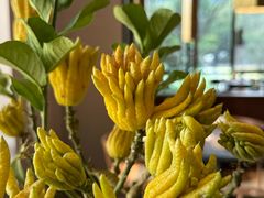 -九月里.自由花园餐厅