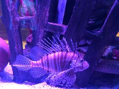 -沈阳海洋探索中心