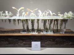 -大连自然博物馆