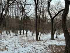 -长春市南湖公园