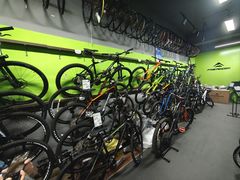 -道路口单车爱瓦士dahon大行