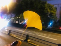 -四川大学(华西校区)