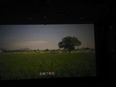-中影南方国际影城(新世界店)