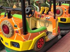 -南宫五洲植物乐园