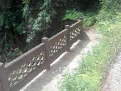 -南宁良凤江国家森林公园