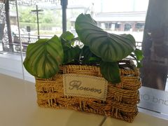 -西檬树SIMON·T轻奢蛋糕(大东方Max店)