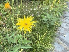 -白塘生态植物园