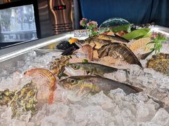 日本料理進口魚-羽山料理