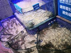 -青蓬蒸汽海鲜·深圳老字号·团建聚会(壹方城店)