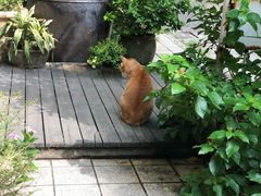 -默迹咖啡馆