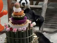 -栾川竹海野生动物园