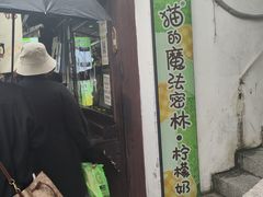 -猫的魔法密林(衣裳街店)