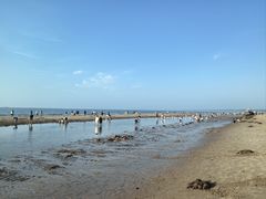 -金梦海湾浴场