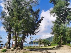 -西涌国际滨海旅游区