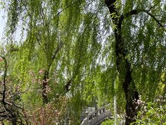 -南汇桃花村