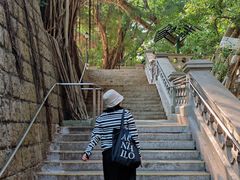 -香港佐治五世纪念公园