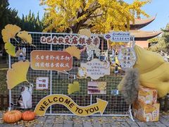 -苏州文庙(姑苏区)