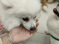 -怪兽屋·羊驼·猫咖·狗咖(俊华广场店)