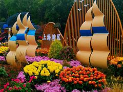 -上海共青森林公园