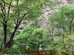 -少华山国家森林公园