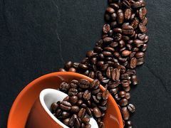 -龍堂蟹黄小笼包(德思勤四季汇店)