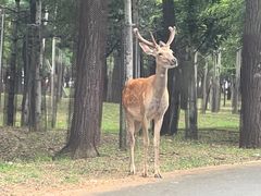 -秦皇岛野生动物园