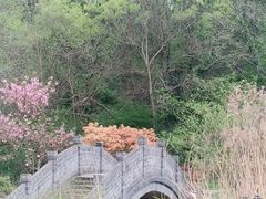 -南京市江宁方山