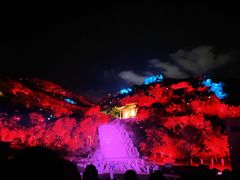 -印象普陀