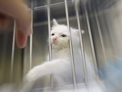 -美联众合动物医院·24h京西诊疗中心