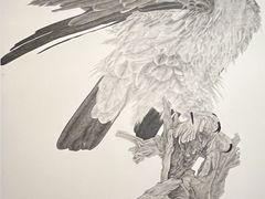 -江苏省美术馆(长江路新馆)