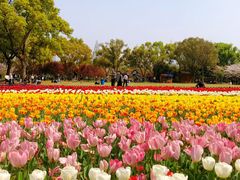 -苏州上方山国家森林公园