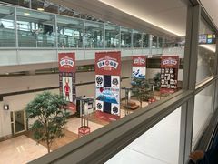 -中部国际机场