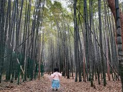 -宝岩生态观光园