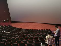 -悦江新远影城IMAX