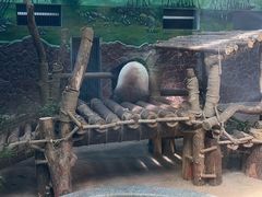 -黔灵山公园
