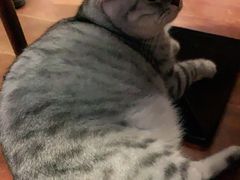 -H立方实景剧情密室(天河旗舰店)