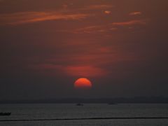 -合肥滨湖国家森林公园