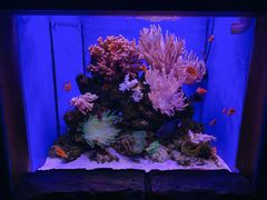 -多彩贵州城极地海洋世界