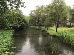 -溱湖国家湿地公园