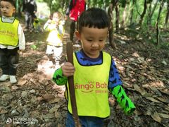 -宾果蒙特梭利托育儿童之家幼儿园(爱琴海店)
