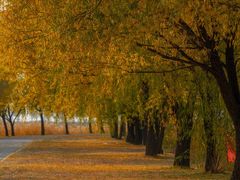 -野鸭湖国家湿地公园