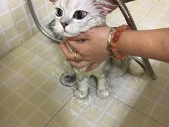 -瑞鹏宠物医院·眼科·皮肤·中兽医(大悦城分院)