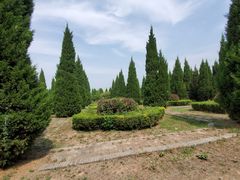 -秦始皇帝陵博物院-丽山园