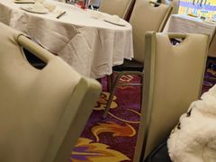 -沙田新强记烧鹅海鲜酒家