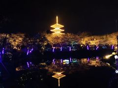-武汉大学-樱园
