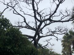 -老宅原住民沙茶面精品小吃(龙头路店)